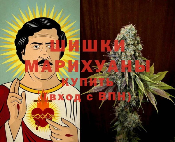 ПСИЛОЦИБИНОВЫЕ ГРИБЫ Абаза