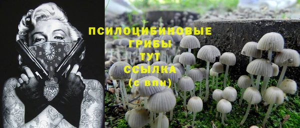 ПСИЛОЦИБИНОВЫЕ ГРИБЫ Абаза
