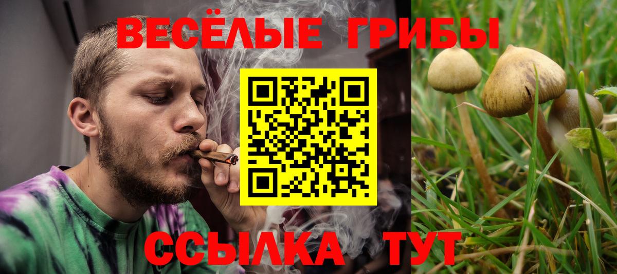 Богданович  наркошоп  Вход с VPN  Псилоцибиновые грибы прущие грибы  Галлюциногенные грибы ЛСД 