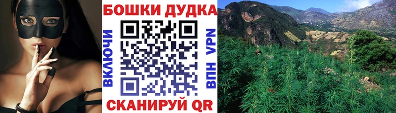 Бошки Шишки MAZAR  Богданович 